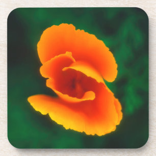 California Poppy Drink Coaster