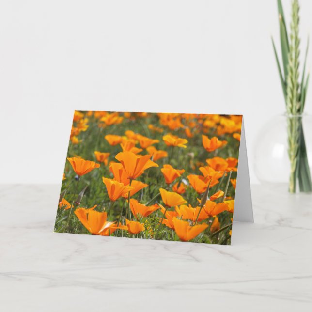California Poppy Field Blank Greeting Card (Front)