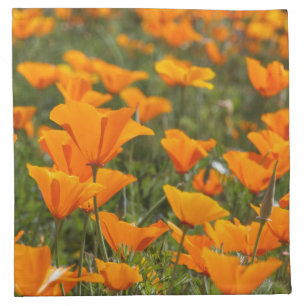California Poppy Field Cloth Napkins