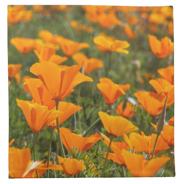 California Poppy Field Cloth Napkins (Front)
