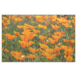 California Poppy Field Fabric
