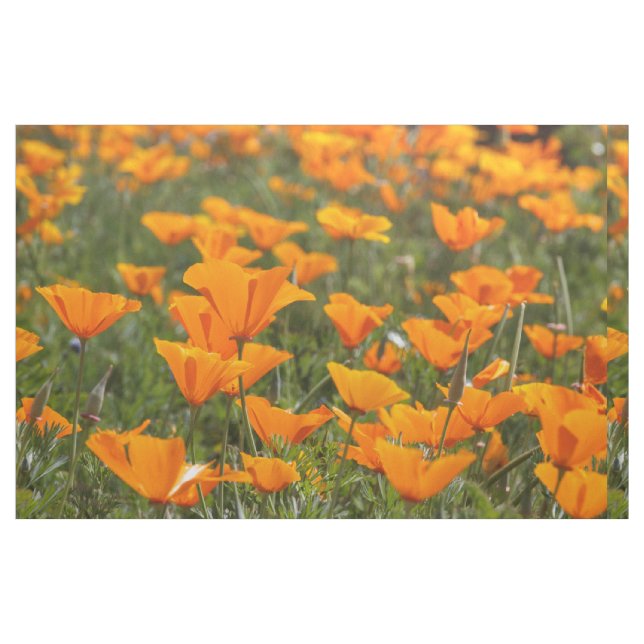 California Poppy Field Fabric (Fat Quarter)