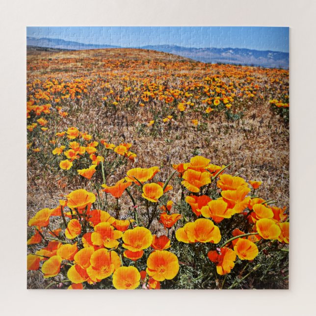 California Poppy Fields - Flowers - 20x20 - 676 pc Jigsaw Puzzle (Vertical)