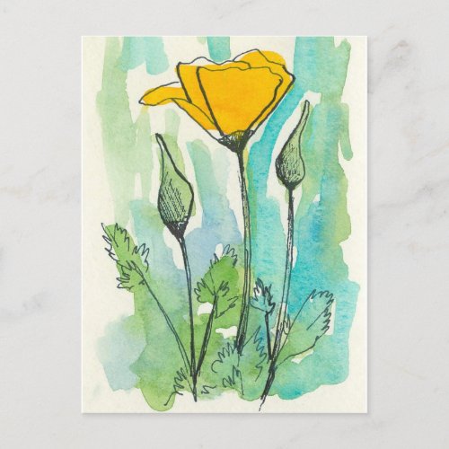 California Poppy Flower Bloom Spring Green Postcard