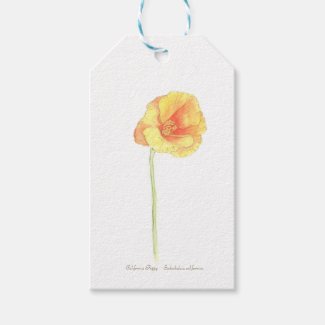 California Poppy  Gift Tags