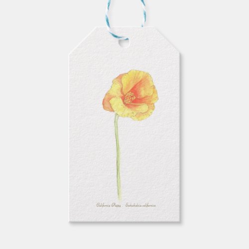 California Poppy  Gift Tags