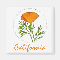 California Poppy in a Circle, "California" Text