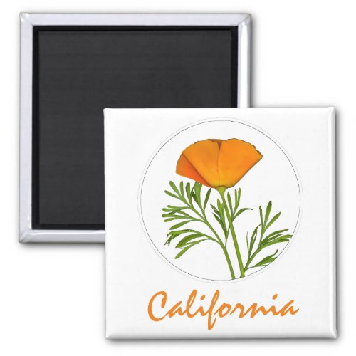 California Poppy in a Circle, "California" Text Magnet
