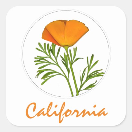 California Poppy in a Circle, "California" Text Square Sticker