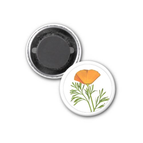 California Poppy in a Circle - Magnet