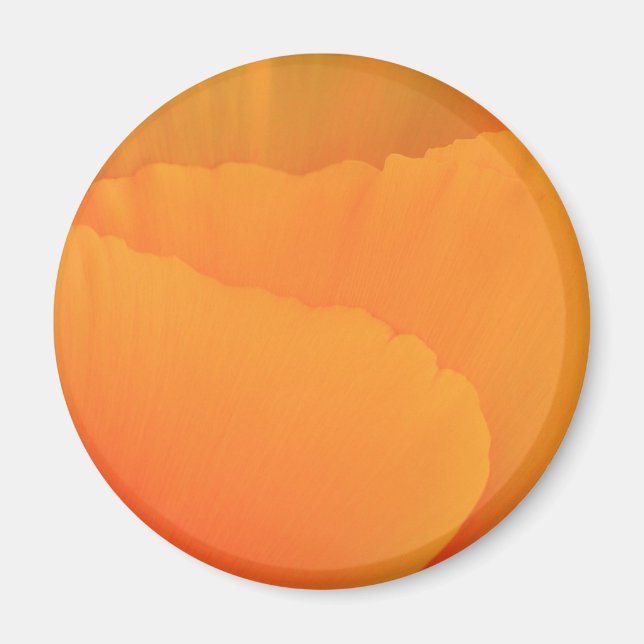 California Poppy Magnet (Front)
