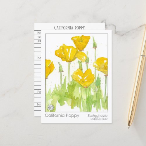 California Poppy Materia Medica Herbal Study Card