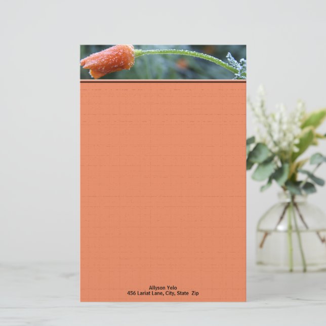 California Poppy Morning Frost Photo Personalized Stationery (Standing Front)