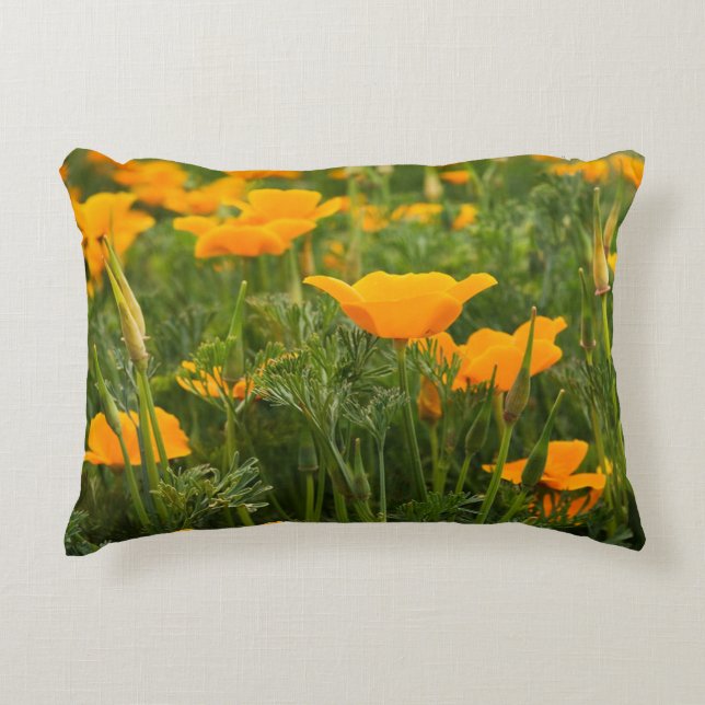 California Poppy Patch Photograph Decorative Pillow (Front)