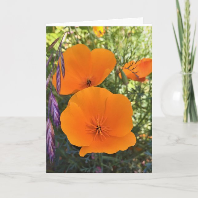 California Poppy Photo Greeting Card (Front)