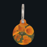 California Poppy Photograph Pet ID Tag<br><div class="desc">Photo of California Poppies,  taken in Central Valley California

Edit information on the reverse side</div>