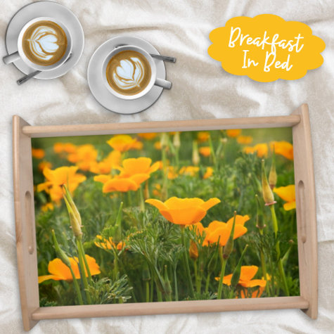 California Poppy Photograph