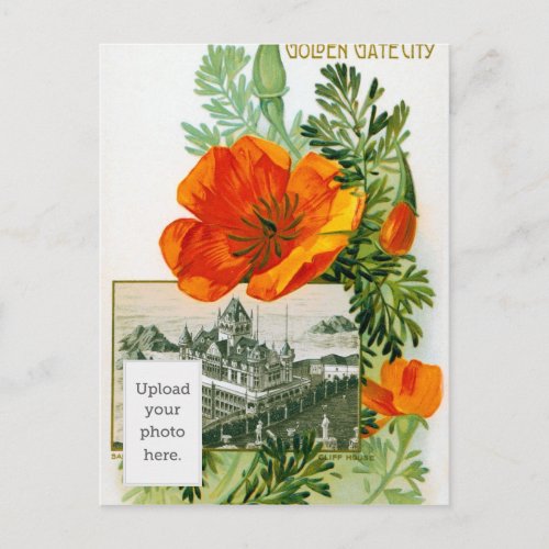 California Poppy Postcard