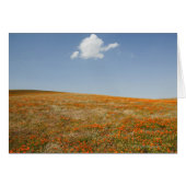 California Poppy Reserve (Front Horizontal)