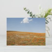 California Poppy Reserve (Standing Front)
