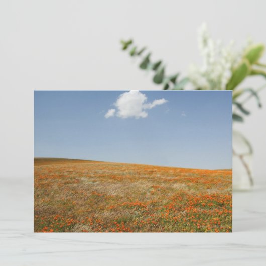 California Poppy Reserve (Standing Front)