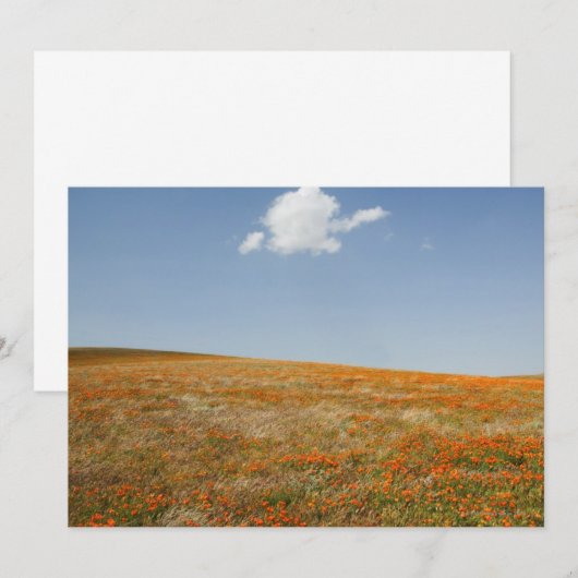 California Poppy Reserve (Front/Back)