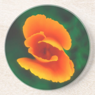 California Poppy Sandstone Coaster