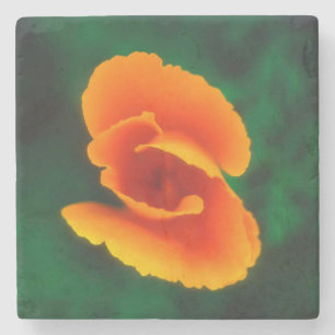 California Poppy Stone Coaster