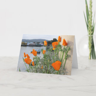 California Poppy Thank You Card
