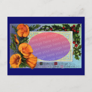 California Poppy Vintage Christmas Frame Holiday Postcard