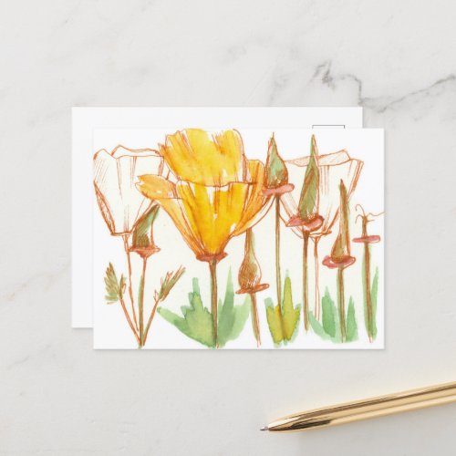 California Poppy Wildflower Botanical Ink Sketch Postcard