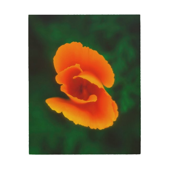 California Poppy Wood Wall Decor (Front)