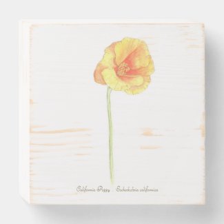 California Poppy  Wooden Box Sign