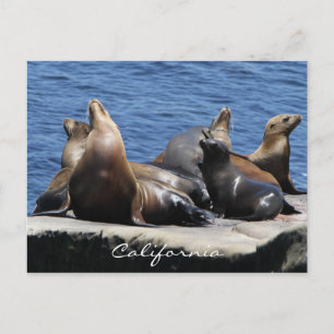 California Postcard