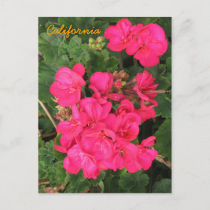 California Postcard