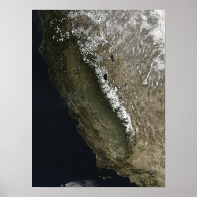 California Poster (Front)