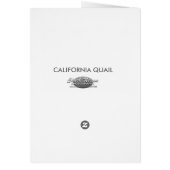 CALIFORNIA QUAIL (Back)