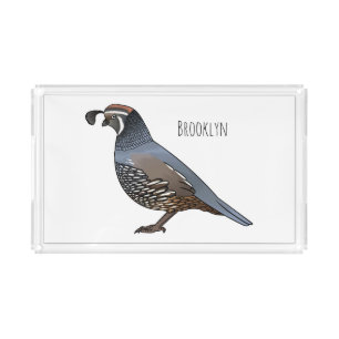 California quail bird cartoon illustration  acrylic tray