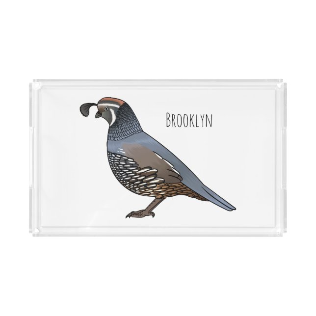 California quail bird cartoon illustration  acrylic tray (Front)