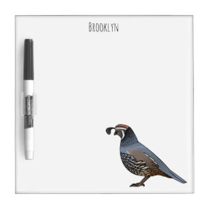 California quail bird cartoon illustration   dry erase board