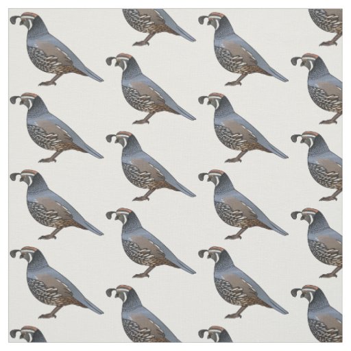 California quail bird cartoon illustration fabric