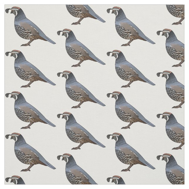 California quail bird cartoon illustration fabric (Swatch)