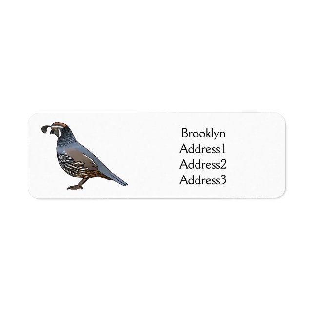 California quail bird cartoon illustration label (Front)