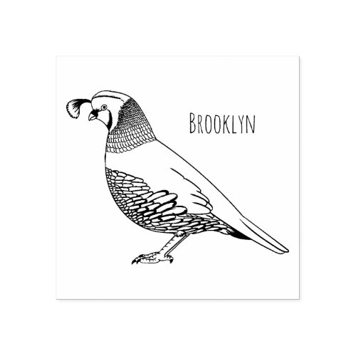 California quail bird cartoon illustration rubber stamp