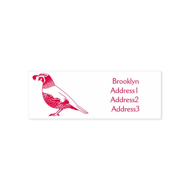 California quail bird cartoon illustration self-inking stamp (Design)
