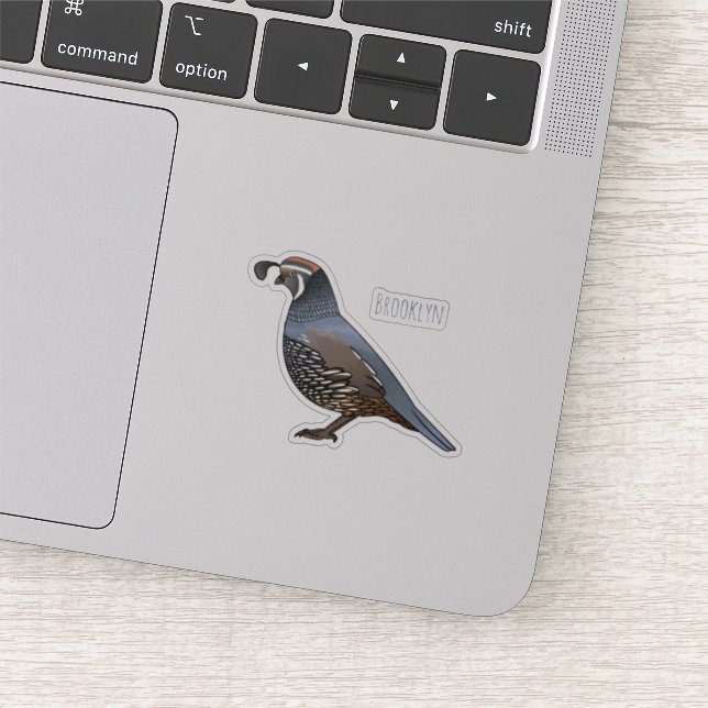 California quail bird cartoon illustration sticker (Detail)