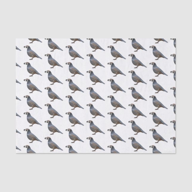 California quail bird cartoon illustration tissue paper (Front)