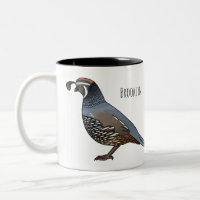 California quail bird cartoon illustration