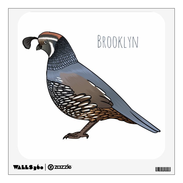 California quail bird cartoon illustration  wall decal (Front)