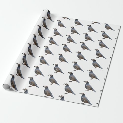 California quail bird cartoon illustration   wrapping paper
